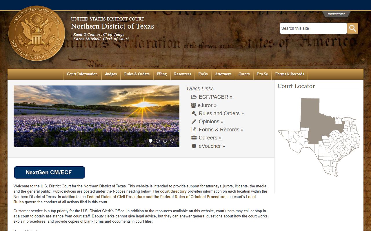 Dallas County released inmates U.S. District Court Northern District of Texas