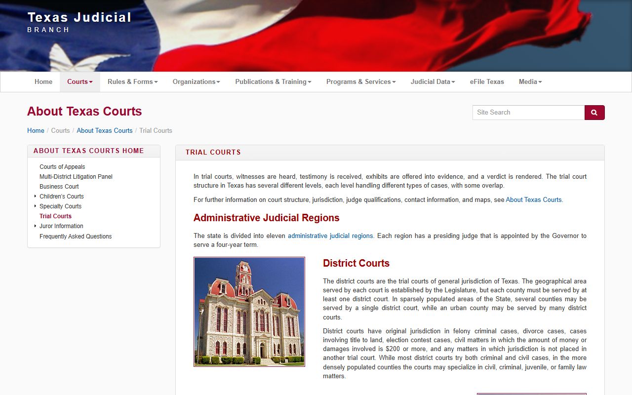 Dallas County warrant records Texas trial courts overview page