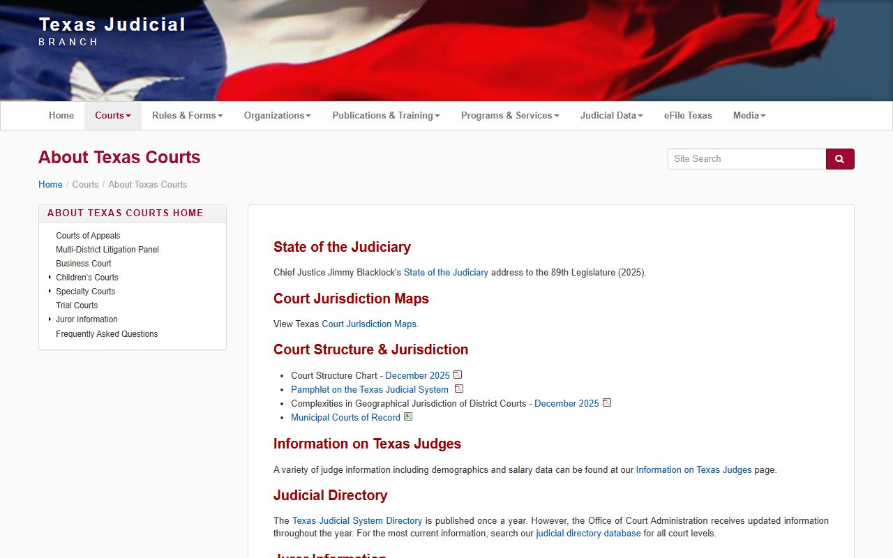 Dallas County warrant records Texas courts overview page